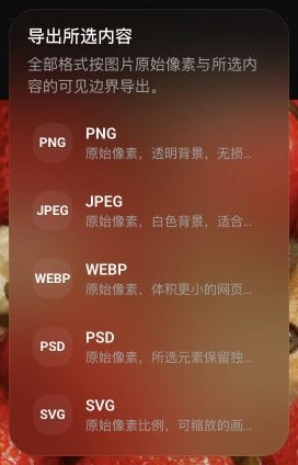 选中图片后的导出面板，列出 PNG、JPEG、WEBP、PSD 和 SVG，并说明各格式的输出特点